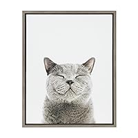 Kate and Laurel Sylvie Smiling Cat Framed Canvas Wall Art by Amy Peterson, 18x24 Gray, Adorable Wall Decor