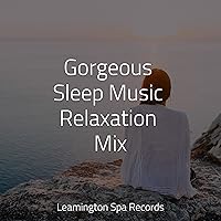 Gorgeous Sleep Music Relaxation Mix Gorgeous Sleep Music Relaxation Mix MP3 Music