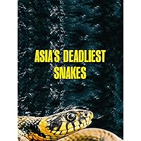 Asia's Deadliest Snakes