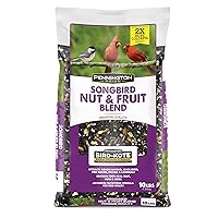 Pennington Songbird Nut & Fruit Blend Wild Bird Seed, 10 lb