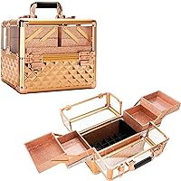 3.8mm Armored Acrylic Makeup Case Jewelry Portable Travel Art Craft Tattoo Organizer with 4 Extendable Trays Clear Cover Micro-Fiber Cloth Brush Holders Keylocks