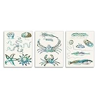 Collage of Blue Aquatic Creatures Ocean Life, Design by Sharon Chandler Wall Plaque, 10 x 15, Beige