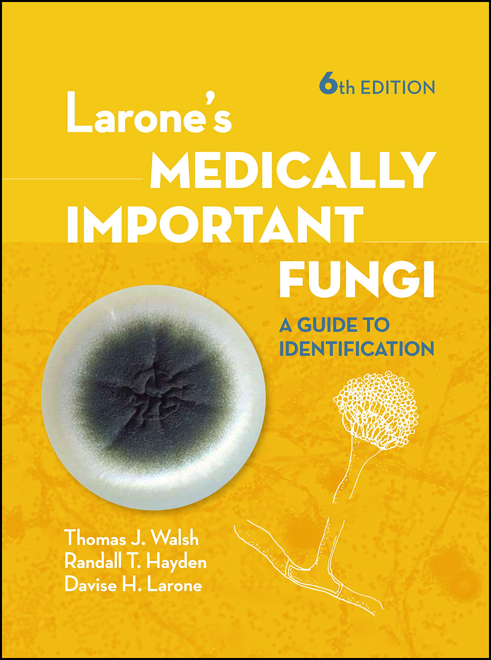 Larone's Medically Important Fungi: A Guide to Identification (ASM Books)