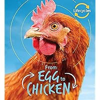 From Egg to Chicken (Life Cycles) From Egg to Chicken (Life Cycles) Library Binding Paperback