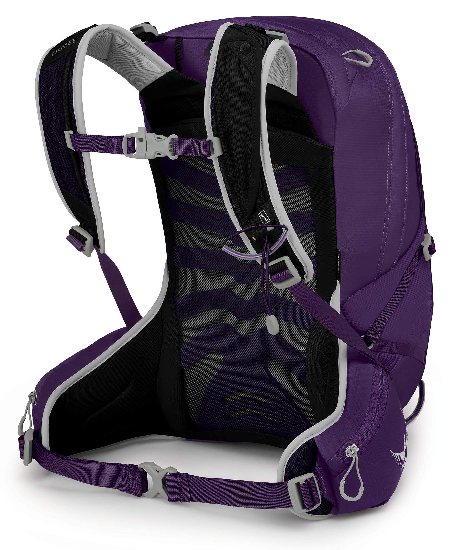Osprey Women's Tempest 20 Hiking Backpack, Multi, WM/L Violac Purple