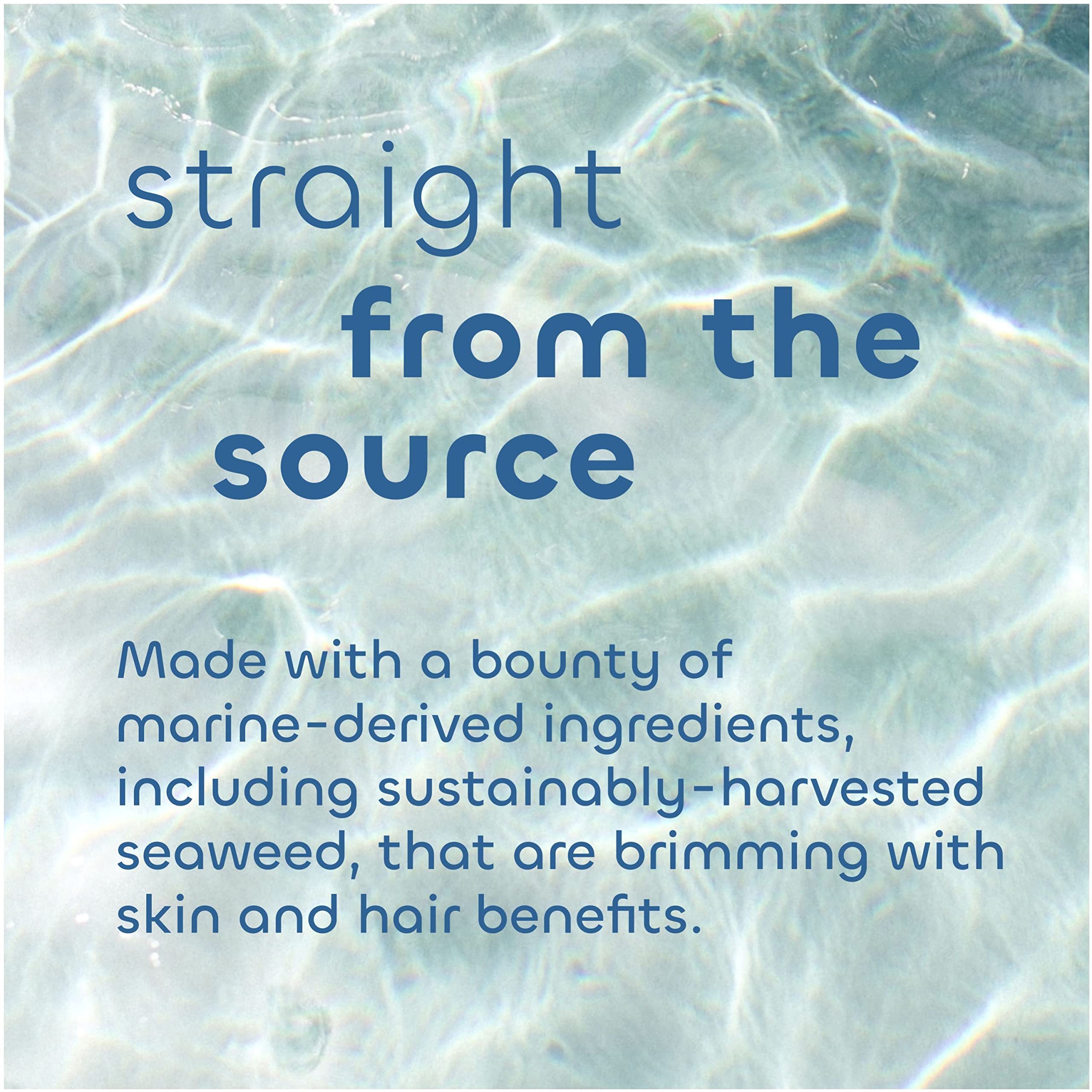 Seaweed Bath Co. Detox Body Wash, Orange Cedar Scent, 12 Ounce, Sustainably Harvested Seaweed, Spirulina, French Sea Clay