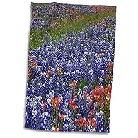 Danita Delimont - Flowers - Texas Hill Country Wildflowers. Bluebonnets and Indian Paintbrush - Towels (twl-332109-1)
