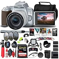 Canon EOS 250D / Rebel SL3 DSLR Camera with 18-55mm Lens (Silver) (3461C001) + 64GB Memory Card + Color Filter Kit + Filter Kit + 2 x LPE17 Battery + External Charger + Card Reader + More (Renewed)
