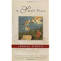 A Small Place A Small Place Kindle Audible Audiobook Hardcover Paperback Audio CD