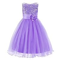 JerrisApparel Little Girls' Sequin Mesh Flower Ball Gown Party Dress Tulle Prom