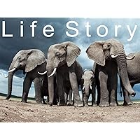 Life Story - Season 1