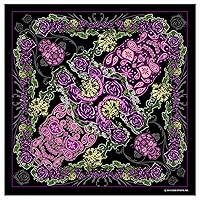 Hot Leathers Paisley Skull Bandana