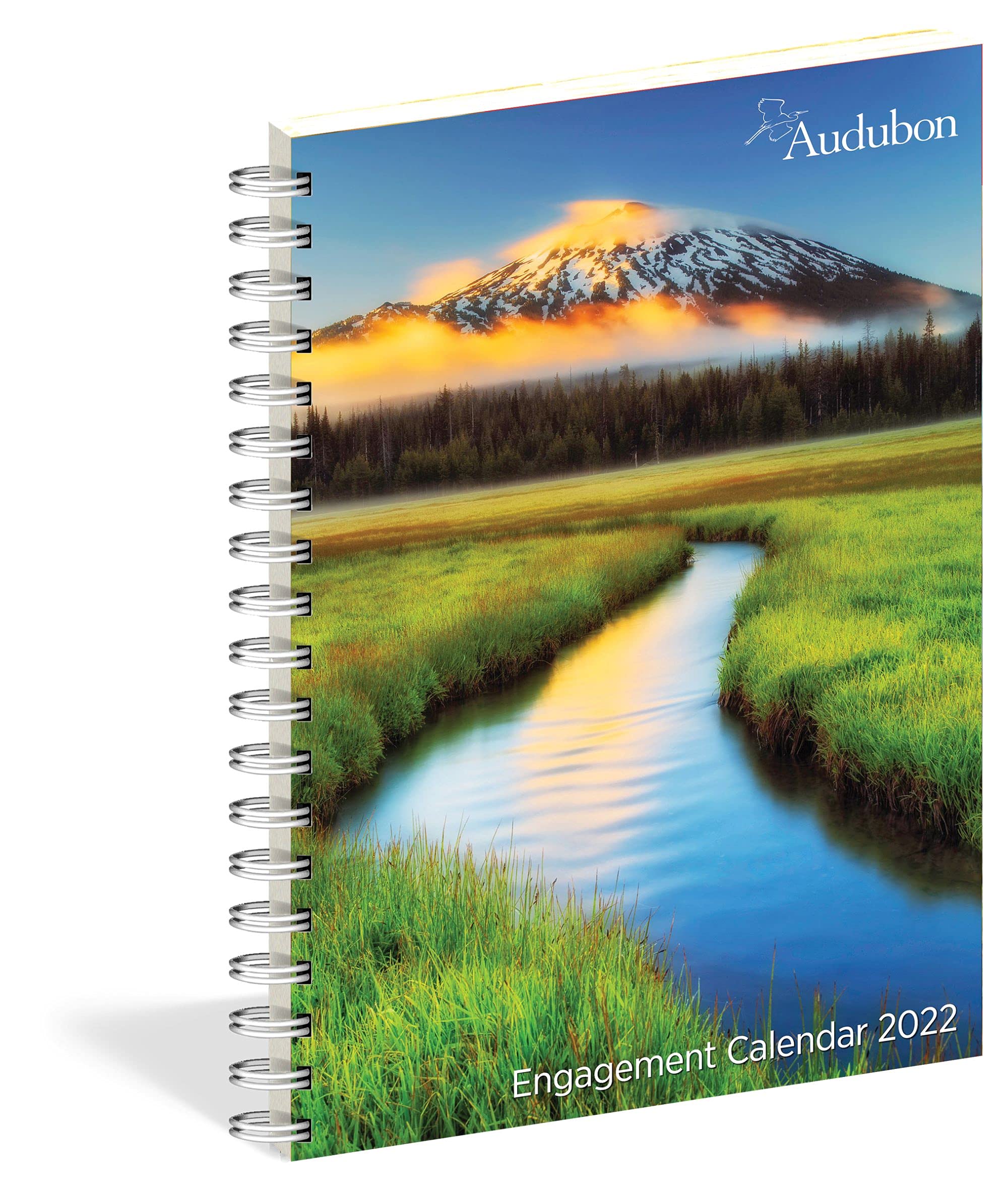 Mua Audubon Engagement Calendar 2022 trên Amazon Mỹ chính hãng 2022 Fado
