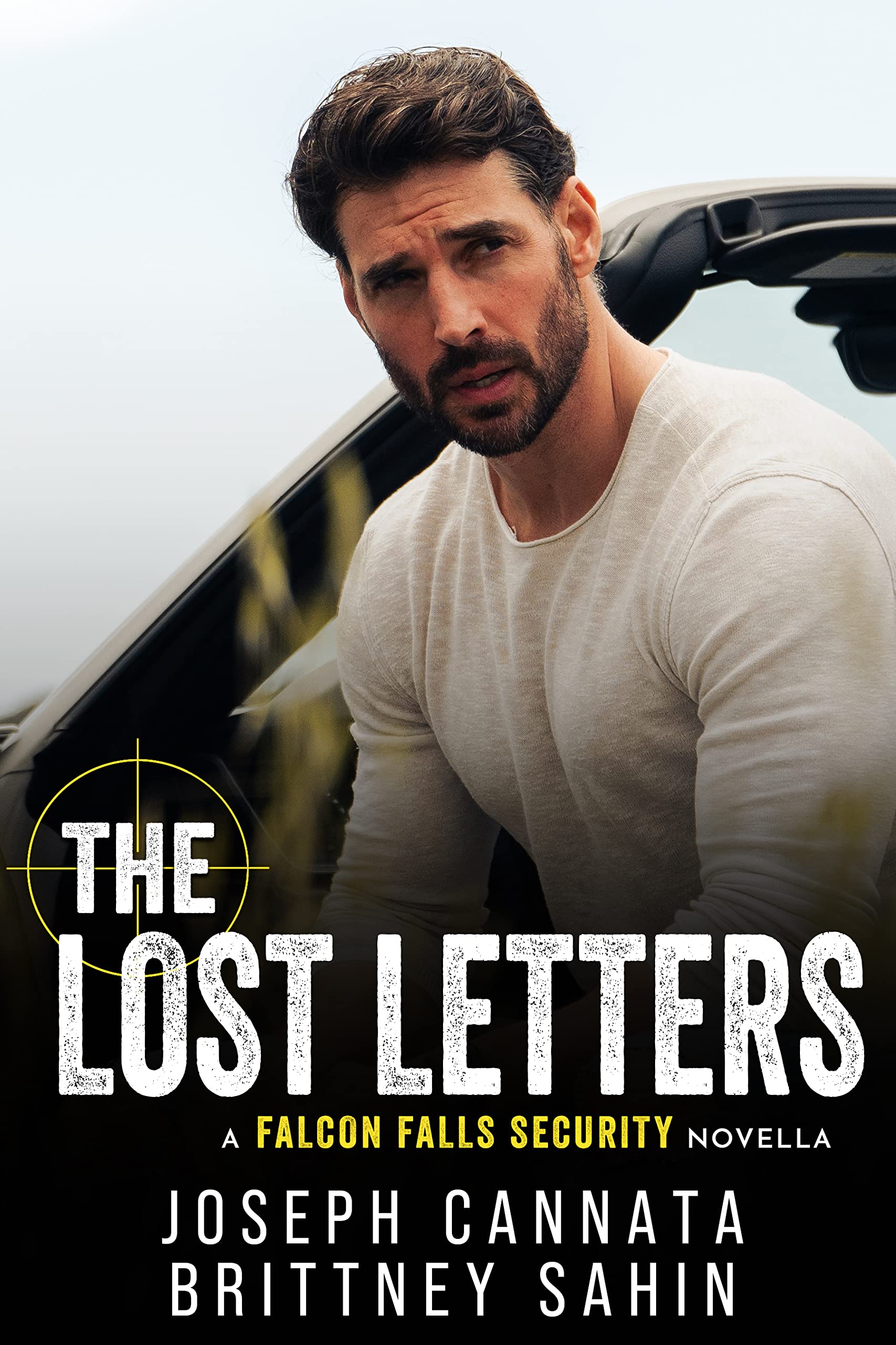 The Lost Letters: A Falcon Falls Security Novella