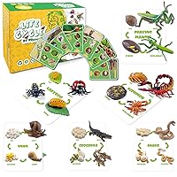 Life Cycle Figures of Praying Mantis, Ladybug, Snails, Scorpion, Crocodile, Snake, Science Toys kit, Animal Figures for Kids Age 3-12