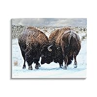 Stupell Industries Fighting Bison Snow Scene Canvas Wall Art Design by Lena Owens