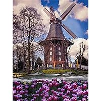 Wooden Puzzle 6000 Pieces-Windmill Tulip-Great Gift for Adults