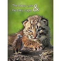 The Baby Lynx & The Baby Eagle