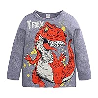 Kids Toddler Baby Boys Dinosaur T Shirt Long Sleeve Crewneck Pullover Tee Tops Autumn Clothes Short Tee