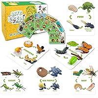Life Cycle Figures of Frog, Chicken, Sea Turtle, Butterfly, Wasp, Locust, Science Toys kit, Animal Figures for Kids Age 3-12