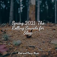 Spring 2021: The Rolling Sounds for Sleep Spring 2021: The Rolling Sounds for Sleep MP3 Music