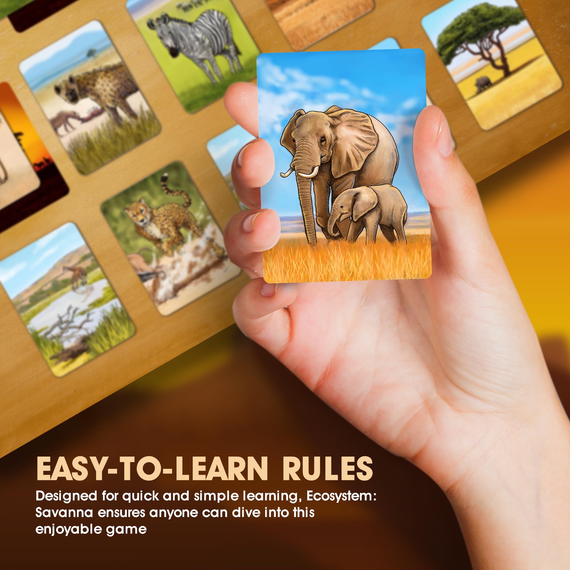Ecosystem: Savanna - A Family Card Game About Animals on Grassy Woodland of African Savanna - Fun & Educational Ecology Game for Kids & Adults - Strategy Board Game for Gamers, Students & Teachers