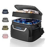 EVERFUN Small Cooler Bag Insulated Beach Cooler Lunch Bag for Men 24 Can Dual Compartments Reusable Waterproof Leak-Proof for Travel Work Picnic, Black
