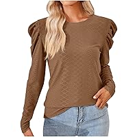 Solid Fall Shirts for Women Crewneck Puff Sleeve Work Blouse Casual Loose Fitted Business Tunic Tops Pullovers