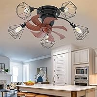 Ceiling Fans with Lights, Low Profile Lighting & Ceiling Fans with Remote Control, Flush Mount Ceiling Light Chandelier Fan, Farmhouse Bladeless Kitchen Bedroom Lighting Fixtures Ceiling