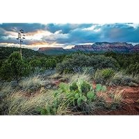 Western Photography Print (Not Framed) Picture of Cactus and Desert Landscape at Sunset Near Sedona Arizona Nature Wall Art Southwestern Decor (5