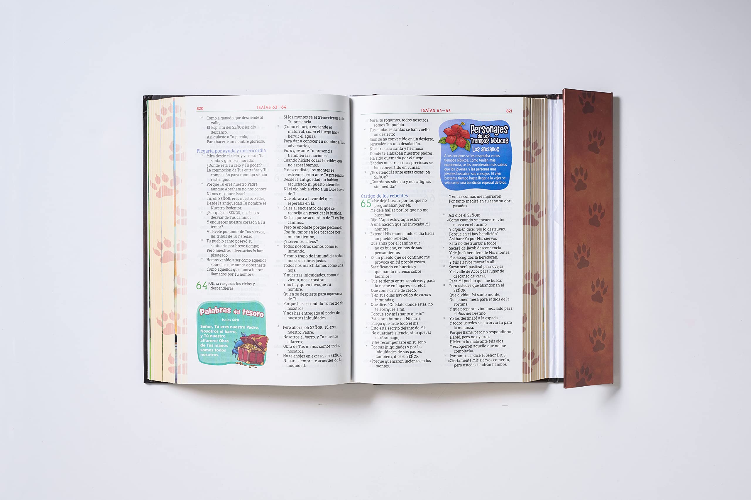 NBLA Biblia Aventura, Tapa Dura, Interior a color, Cierre Magnético (Spanish Edition)