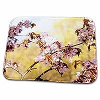 3dRose Shining Sakura Tree in Full Bloom, Yellow and White... - Bathroom Bath Rug Mats (rug-272371-1)