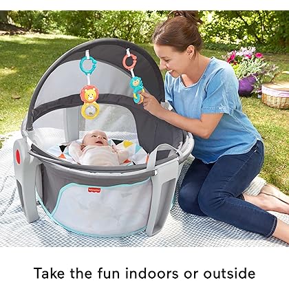 Fisher-Price Portable Bassinet and Play Space On-the-Go Baby Dome with Developmental Toys and Canopy, Windmill