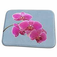 Pink Orchids Photograph in Paint Effect. - Bathroom Bath Rug Mats (rug-293377-1)