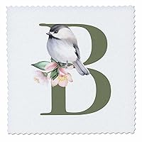 3dRose Green Monogram Initial B Pretty Floral and Bird - Quilt Squares (qs-379726-10)