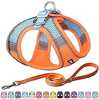 Step in Dog Harness and Leash Set - No Pull Escape Proof Vest Harnesses with Soft Mesh and Reflective Bands, Adjustable Pet Outdoor Harnesses for Small and Medium Dogs Orange M