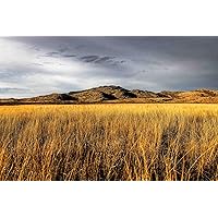 Wichita Mountains Photography Print (Not Framed) Picture of Mountain Overlooking Golden Prairie Grass on Autumn Day in Oklahoma Great Plains Wall Art Nature Decor (5