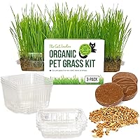 Cat Grass for Indoor Cats - Growing Kit - Organic Cat Grass Seeds, Soil and BPA Free Containers (Non GMO) - Locally Sourced Seeds! (3 Pack)
