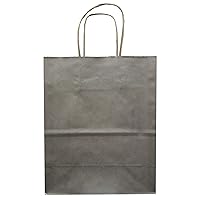 Jillson Roberts Bulk Medium Recycled Kraft Bags Available in 13 Colors, Silver Metallic, 250-Count (BMK914)