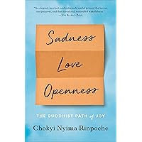 Sadness, Love, Openness: The Buddhist Path of Joy Sadness, Love, Openness: The Buddhist Path of Joy Paperback Audible Audiobook Kindle