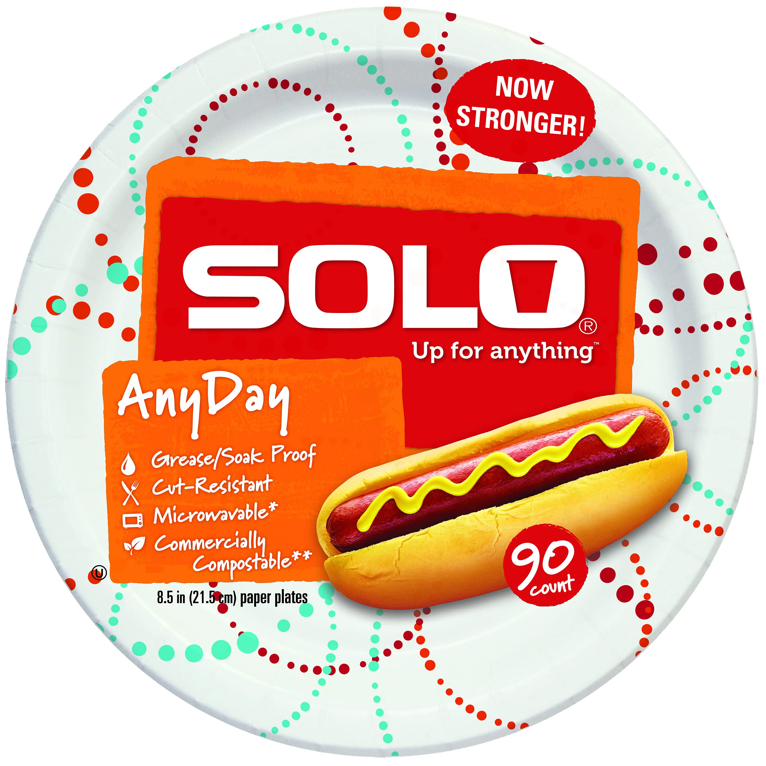Solo Any Day Paper Plates, 8.5 Inch, Multicolor, 360 Count (Pack of 1)