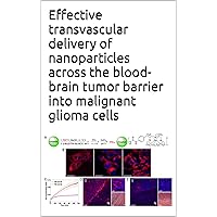 Effective transvascular delivery of nanoparticles across the blood-brain tumor barrier into malignant glioma cells