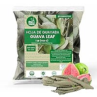 Yerbero - Whole Dried Guava Leaf | 1 LB (453g) 160-240 Leaves Makes 120-140 Cups of Tea | (Te Hojas De Guayaba Enteras) | Crafted By Nature | Wildcrafted | All Natural Loose Laves Tea | Non-GMO | Caffeine free.