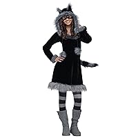 Fun World Costumes Women's Sweet Raccoon Teen Costume