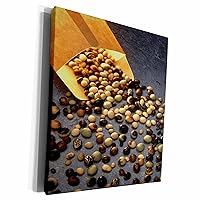 3dRose Food Assorted Soybean Seeds - Museum Grade Canvas Wrap (cw_285119_1)