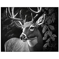 Black & White Deer in Nature Decorative Glossy Paper Print for Walls. 11 x 14 inches. Shipped Flat with Cardboard Backing.