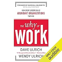 The Why of Work: How Great Leaders Build Abundant Organizations that Win The Why of Work: How Great Leaders Build Abundant Organizations that Win Audible Audiobook Hardcover Kindle