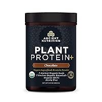 Plant Based Protein Powder, Plant Protein+, Chocolate, Organic Vegan Superfoods Supplement, 15g Protein Per Serving, Gluten Free, Paleo Friendly 12 Serving