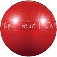 Gofit GF65PRO GF-65PRO Professional Stability 65 Cm Ball And Brook Benten DVD, Red