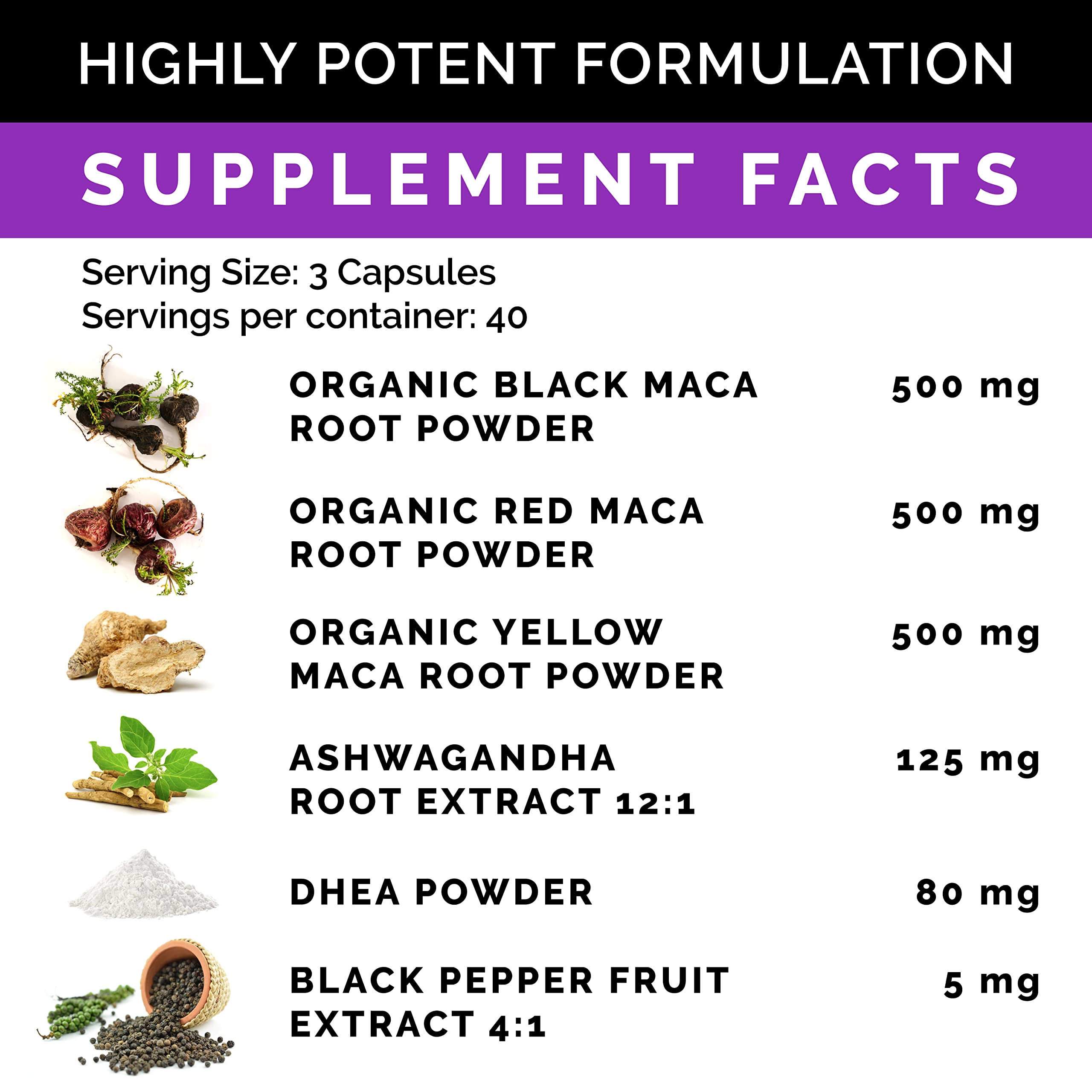 5-in-1 Organic Ceylon Cinnamon with Apple Cider Vinegar, Turmeric, Ginseng Root Capsules (120 Capsules) & 6-in-1 Maca Root Ashwagandha with DHEA. Black Pepper Fruit (120 Capsules) Bundle